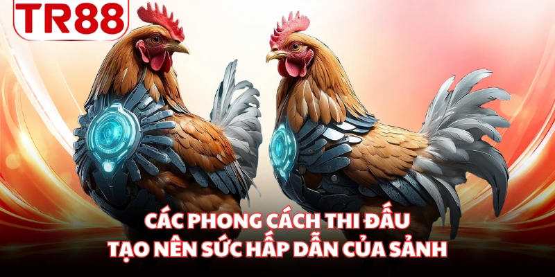 Các phong cách thi đấu tạo nên sức hấp dẫn của sảnh