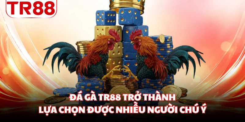 Đá gà TR88 trở thành lựa chọn được nhiều người chú ý