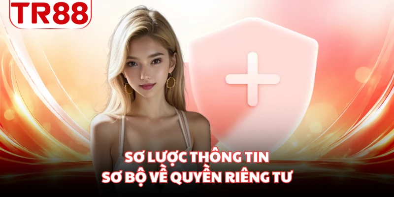 Sơ lược thông tin sơ bộ về quyền riêng tư