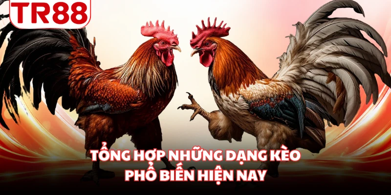 Tổng hợp những dạng kèo phổ biến hiện nay